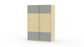 Шкаф-купе D01 225 BMS