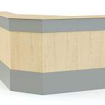 Ресепшен Рейна №13 BMS - Фото 7