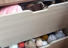 Тумба прикроватная Либерти ТД-297.03.02 BMS